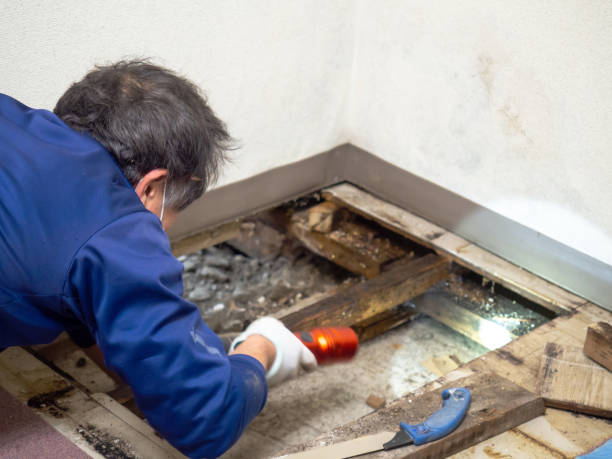 Best Mold Testing  in Fort Lee, NJ