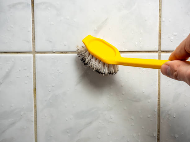 Best Professional Mold Removal  in Fort Lee, NJ