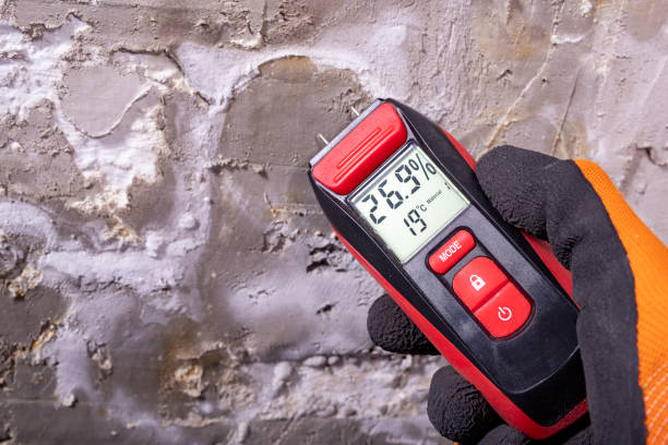Best Emergency Mold Removal  in Fort Lee, NJ