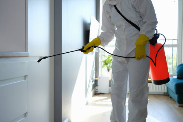 Best Certified Mold Removal  in Fort Lee, NJ