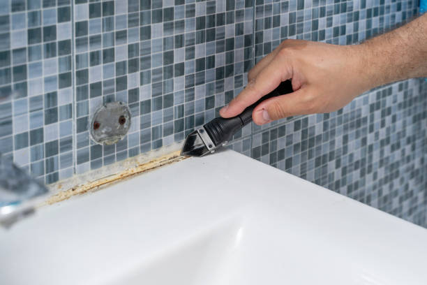 Best Best Mold Removal Companies  in Fort Lee, NJ
