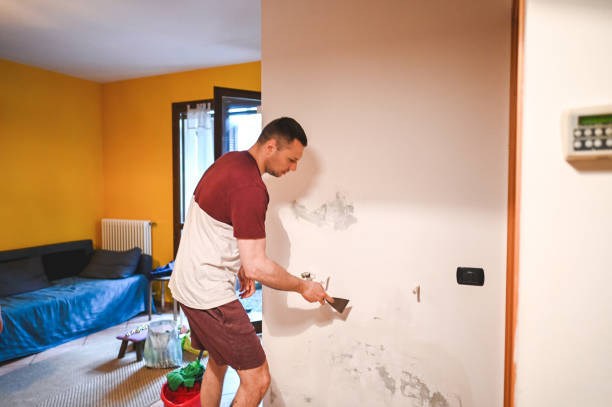 Attic Mold Removal in Fort Lee, NJ