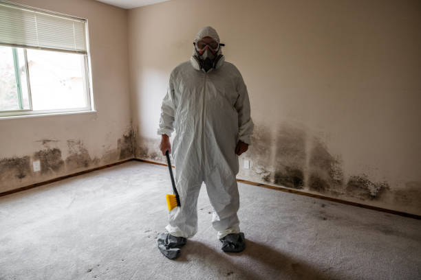 Best Crawl Space Mold Removal  in Fort Lee, NJ