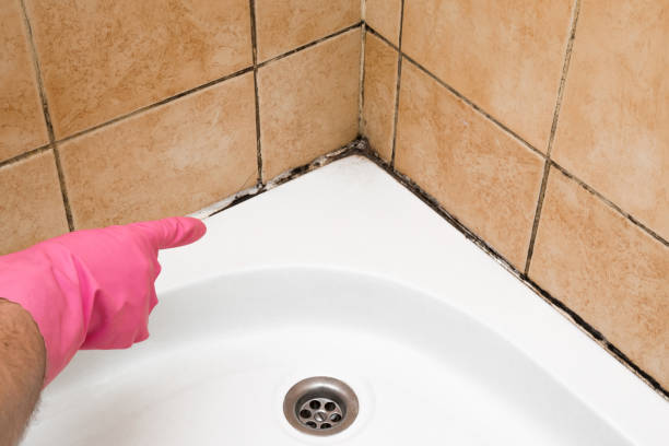 Best Crawl Space Mold Removal  in Fort Lee, NJ
